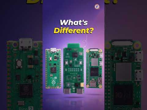 3 Tiny Boards… Completely Different Brains?